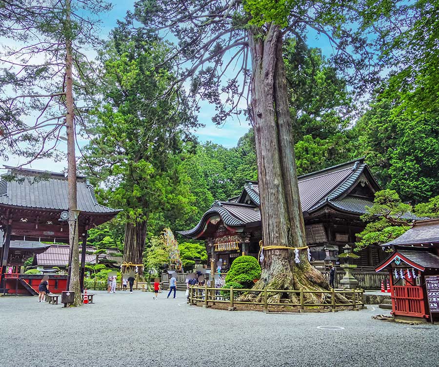 北口本宮冨士浅間神社の境内と御神木